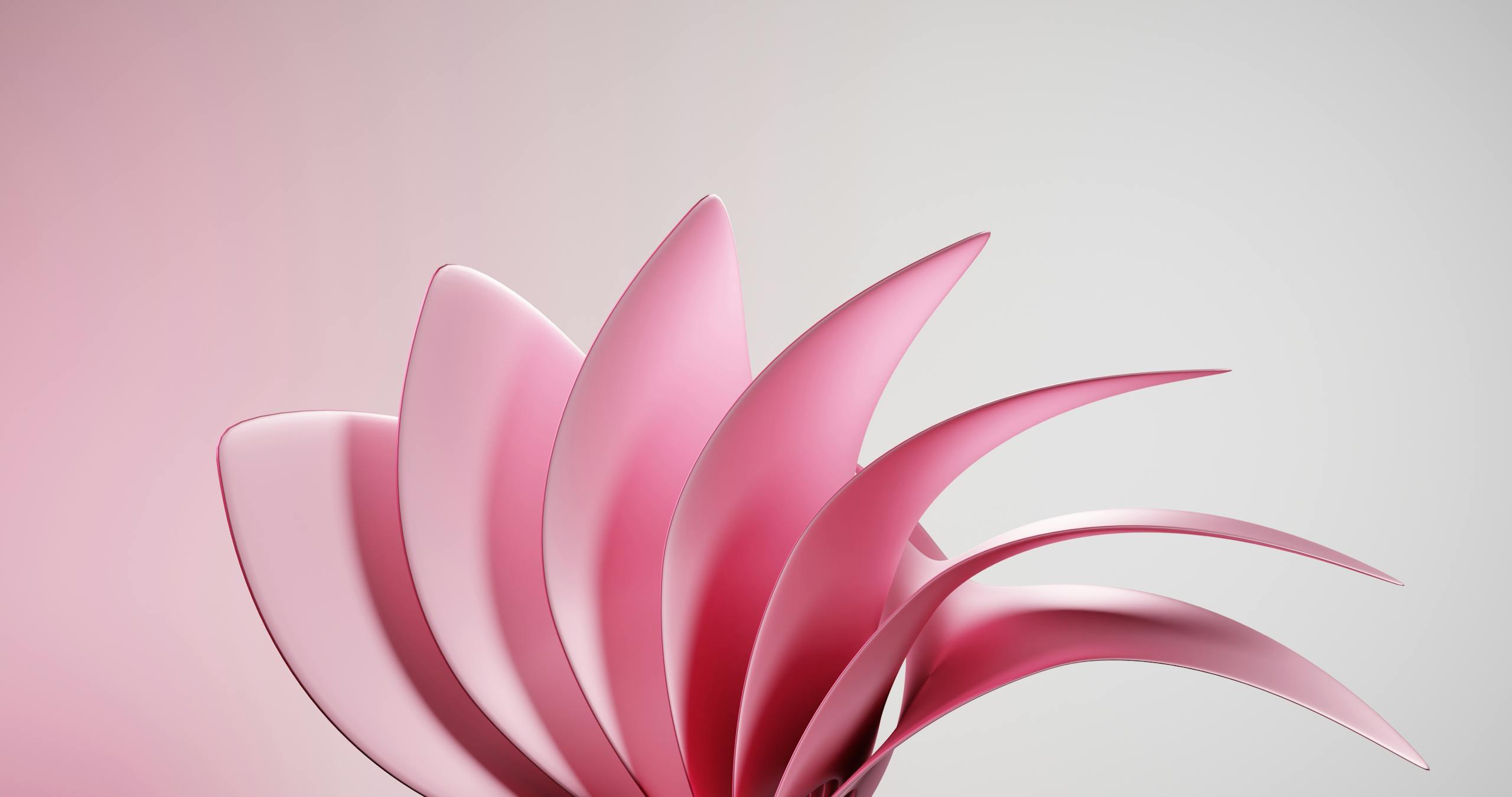 Abstract pink floral artwork with curved petal elements in a modern style.